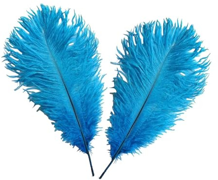 WedDecor Aqua Blue Natural Ostrich Feathers 14-16 (35-40cm) Long for Wedding Centerpieces, Home, Decorating Costumes, Embellishment, Art & Craft, Parties (Pack of 5)