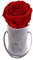 Emmie Gray Classic Infinity ROSENBOX | Velvet Gray | Runde Flowerbox - Infinity Rosen in Grauer Samtbox - 1-3 Jahre Haltbarkeit - Echte Rosen, die jahrelang blühen - Haltbare Rosen (XXS, Vibrant Red)