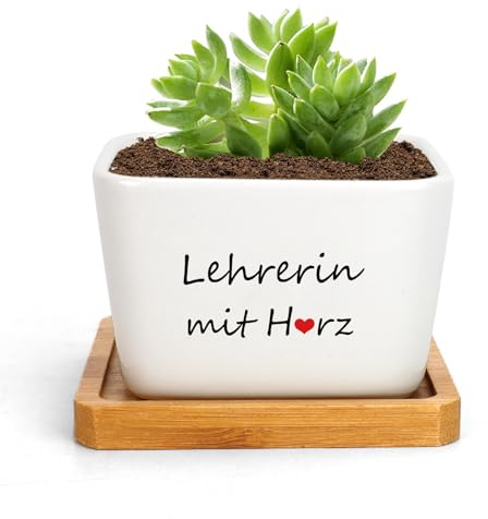 RRIGETEN Geschenk Lehrerin Weihnachten,Abschiedsgeschenk Erzieherin Blumentopf,Abschiedsgeschenk Lehrerin,Lehrerin Geschenk,Beste Lehrerin Geschenk,Dankeschön Geschenke Erzieherin,Geburtstagsgeschenk