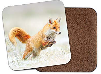 #15478 Untersetzer, Motiv: Jagd Ingwer Fuchs – Wildlife Nature Wild Fun Animals Mädchen Geschenk