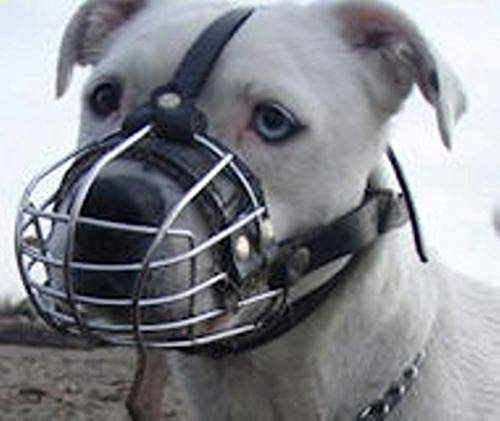 L&J Pets Uk Strong Metal Wire Basket Muzzle for Amstaff & Pitbull and other dogs (Silver Basket/Black Leather, 4) (MK 4,5,R1)