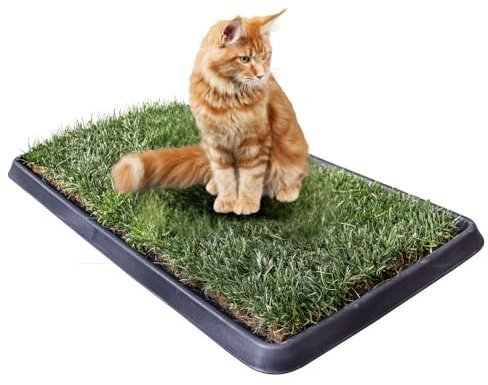 PetZolla Gatto Kit M - Cuccia estiva in vera erba con vassoio 90x52 cm | Letto per gatti con erba gatta naturale e atossico, Cuccia per gatti da interno dura fino a 3 mesi