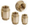 Clapets anti-retour à ressort en laiton pour irrigation et jardin - 2,5 cm (1,9 cm)