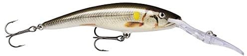 Rapala - Deep Tail Dancer Angelköder - Angelzubehör aus Balsaholz - Stabile Tauchschaufel - Süßwasser Spinnköder - Lauftiefe 12m - Fischköder 13cm, 42g - Hergestellt in Estland - Live Ayu