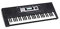 Medeli M331 - Tastiera Arranger Portatile 61 Tasti