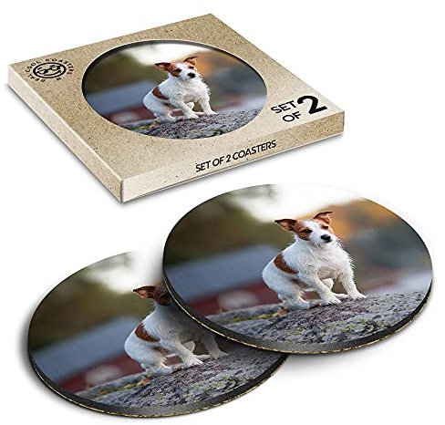 2 x Eco Boxed Cork Coasters - Jack Russell Terrier Lake House Drink Cup Mug Glass Table Mat #45424