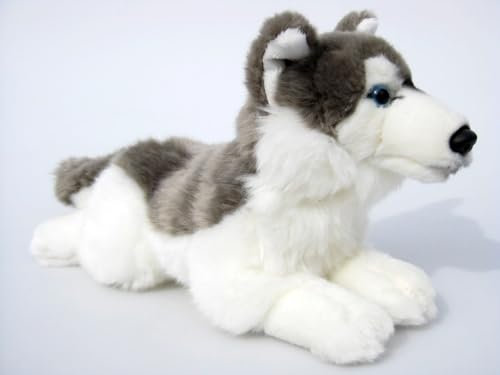 Plüschtier Hund Husky - liegend - 30 cm - lebensecht Stofftier Kuscheltier Plüschhund Stoffhund