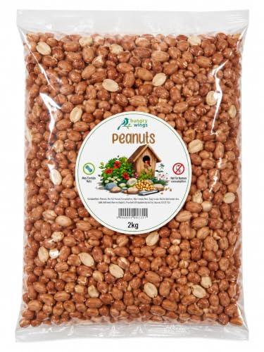 Wild Bird Food (2kg, Peanuts) | Premium