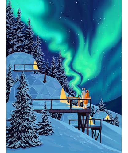 PieceRelax PieceClicks Puzzle 1000 Teile - Aurora [U1212] | 1000 Teile Puzzle für Erwachsene, 63,3 x 47,6 cm, Paco Yao, Polarlicht, Nordlichter, Winterlandschaft, Schnee, Geschenkidee