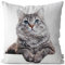 VOID Graue Katze getigert Kissenbezug Kissenhülle Sofakissen Kissen Deko Outdoor-Kissen Dekokissen, Kissen Größe:40 x 40 cm