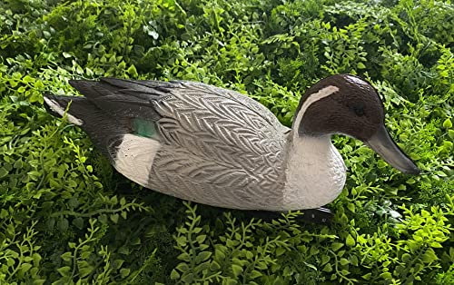 GMM Anatra Decorazione da Giardino Realistica, Codone Maschio e/o Femmina di Anatra, riproduzione reale, Decorazione da Giardino, (coppia-singolo Maschio- singolo Femmina) (colore maschio)