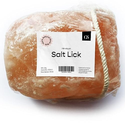 GS Equestrian Himalayan Salt Lick On Rope for Horses – 84+ Minerals for Electrolytes, Hydration & Digestion Support – 2kg