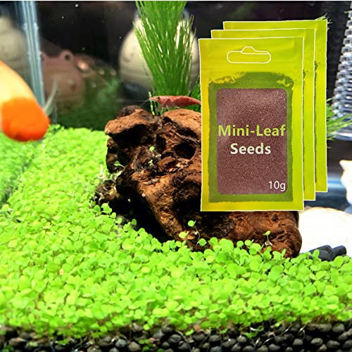 3 Pack Aquarium Plant s-e-e-d. Mini-leaf 30gram. not plastic Carpet Decor Decoration not artificial YZ-AAA04