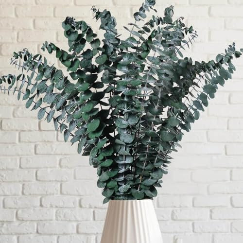 GUOYOU 24 Pezzi Foglie Finte per Decorazioni Eucalipto Decorativi Foglie Artificiali Eucalipto Rami Eucalipto Artificiale Rami Finti Fiori Artificiali Rami Decorativi Vaso,per Balcone Matrimoni Casa