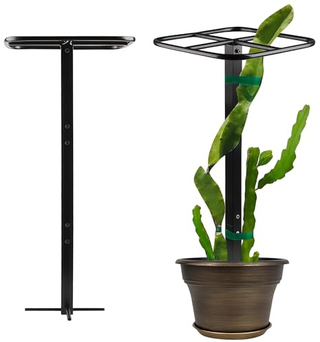 Vertikale Gurke & Drachenfrucht Rankgitter Metall Pflanze Klettergerüst für Garten