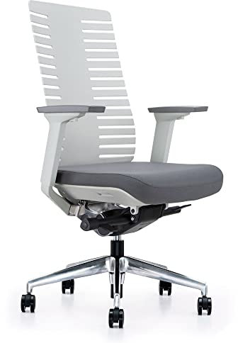 Sedero Bürostuhl Bone Grau - Ergonomischer Drehsessel für Erwachsene