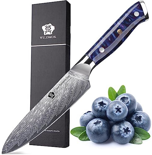 WILDMOK Küchen-Allzweckmesser, 12cm Küchen-Allzweckmesser aus Damaskus Japan VG 10 Stahl, scharfes Küchen-Kochmesser, ergonomischer farbiger Harzgriff, luxuriöse Geschenkbox