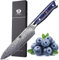 WILDMOK Küchen-Allzweckmesser, 12cm Küchen-Allzweckmesser aus Damaskus Japan VG 10 Stahl, scharfes Küchen-Kochmesser, ergonomischer farbiger Harzgriff, luxuriöse Geschenkbox