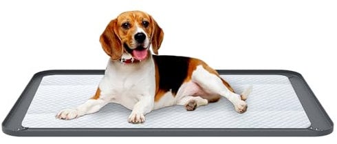 Eyoulife Pee Pad Holder for Floor Protection, Silicone Puppy Pad Holder, Leak Proof Foldable Puppy Potty Toilet Training Pad Holder with Raised Edge for Home Travel, 62x42 cm (62x42 cm)