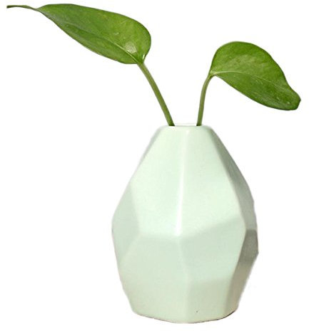 Demarkt Petit vase en céramique Rose 7 x 6,5 x 9 cm, Céramique, vert clair, Medium