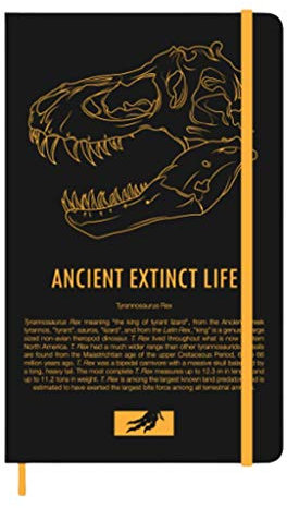DIANDIAN Notizblock Paläontologie Memorial Notebook, A5 Dinosaurier Notebook, zum Schreiben und Zeichnen Schreiben und Zeichnen mit Gel-Kugelschreiber und Füllfederhalter Reisenotizbuch
