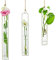 Sziqiqi Creativo Jarrón De Vidrio De Hierro, Contenedor Colgante De Agua, Tubo De Ensayo De Vidrio como Florero Colgante, Decoración De La Planta Colgante para Sala De Estar, Beige