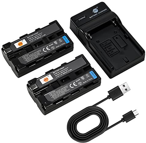 DSTE NP-F550 Lot de 2 batteries et chargeur compatibles avec Sony CCD-SC5 CCD-SC5/E CCD-SC55E CCD-SC55 CCD-SC6 CCD-SC65 CCD-SC7 CCD-SC7/E CCD-SC8/E CCD-SC9