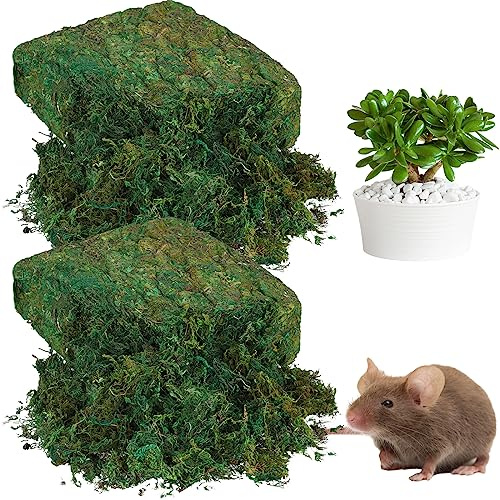 Zeyune 56.4 oz Large Capacity Fake Artificial Moss for Crafts Outdoor Faux Potted Plants DIY Decor Fresh Green Preserved Moss Garden Wedding Party Floral Indoor Table Terrarium Arts Centerpieces