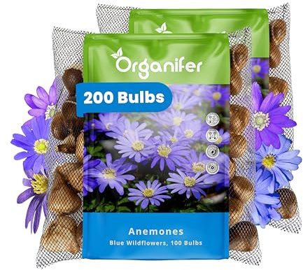 200 Blaue Anemonenzwiebeln - XXL-Zwiebel - 5cm | Anemone Blanda Blue Shades - Für Einen Farbenfrohen Frühlingsgarten - Rabatten Und Töpfe - Premium-Qualität - Organifer