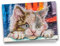 Ideen mit Herz Diamond-Painting-Grußkarte | Strass-Edition | Din B6 | 370 g/m² | inkl. Steine, Umschlag & Werkzeug … (Katze)