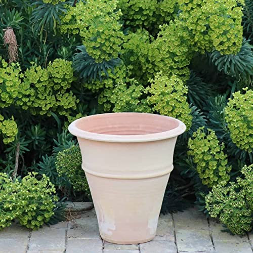 Palatina Keramik handgefertiges Terracotta Pflanzgefäß/Blumentopf | absolut frostfest | Pflanzkübel für den Garten, Balkon oder Terrasse Yucca (35cm)