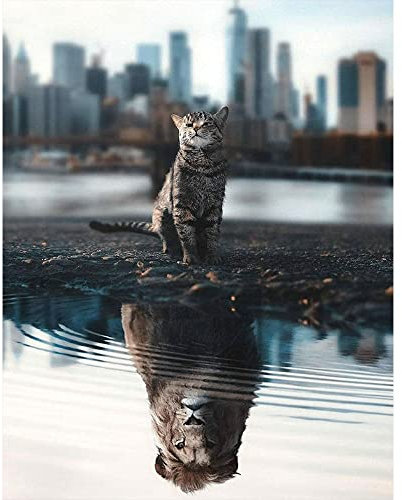 DCIDBEI Diamond Painting Quadratische Steine 40x50 cm - Katze Löwe mit Spiegelbild - Square Drill