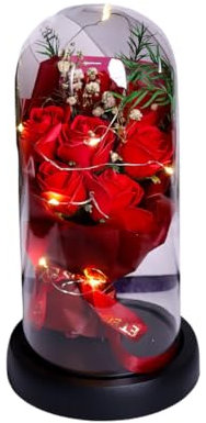 ZiaWorld Valentines Eternal Rose Bouquet Artificial Flower with LED Light, Beauty and The Beast Rose Lamp In The Glass Dome, Romantic Gift for Girlfriend & Wife for Birthday Anniversary (Red)