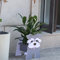 Gochoi Schnauzer-Geschenke für Frauen, Schnauzer-Hunde-Pflanzgefäß, niedlicher Hunde-Blumentopf für Outdoor-Gartendekoration, Schnauzer-Pflanzenbehälter, Büro, Heimdekoration, kleiner Schnauzer, Grau