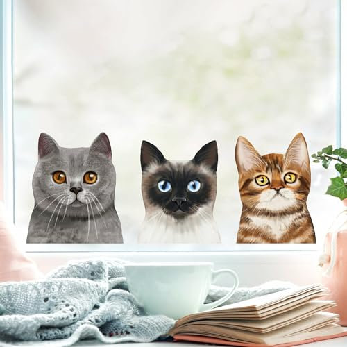 Wandtattoo Loft Fensterbild Katzen Siamkatze Perserkatze Katzenrassen, Fensterdeko, A3 Bogen, Fensteraufkleberl, Selbstklebende Fenstersticker, Abziehbilder, Fensterdeko,