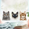 Wandtattoo Loft Fensterbild Katzen Siamkatze Perserkatze Katzenrassen, Fensterdeko, A3 Bogen, Fensteraufkleberl, Selbstklebende Fenstersticker, Abziehbilder, Fensterdeko,
