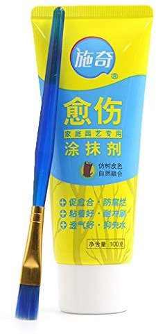 Wrubxvcd 100g Baum Wunde Bonsai Cut Paste Abstrich Agent Beschneiden Compound Sealer mit Pinsel