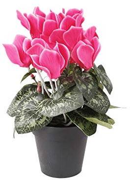 FloristryWarehouse Cespuglio di ciclamino in finta seta rosa in vaso, altezza 25 cm