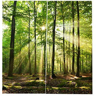 Fdit Wälder Sonnenlicht Druck Schattierungsvorhänge Wohnzimmer Schlafzimmer Erker Voll Verdunkelungsbedruckter Vorhang für Balkon Schlafzimmer Wohnzimmer Fenster(1#)