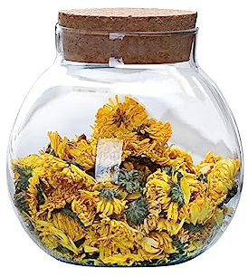 VASANA 500ML/16oz Airtight Round Clear Glass Jar with Cork Lids Tea Caddy Container Vase Eco Bottle Food Storage Containers for Home Kitchen