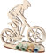 XL Geldgeschenk aus Holz Mountainbike|Geschenkidee Fahrrad|Gutscheinverpackung|witziges Geschenk|Geldgeschenk für Frauen und Männer (Mountainbike)