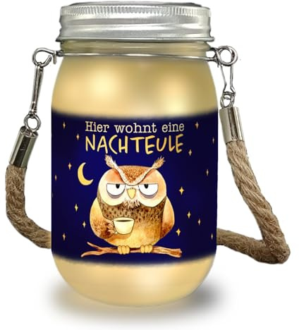 speecheese Eule Solarlicht mit Spruch Hier wohnt eine Nachteule Nachtmensch mit Uhu-Lieblingstier Sterne-Leuchte beim Renovieren Umziehen der Wohnung