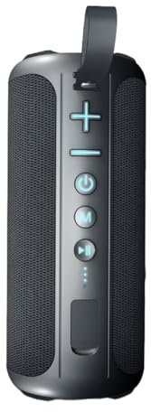MEIION Enceinte Bluetooth Portable 20 W TWS Double Étanche IPX5 – LED RGB Multicolore – 10 h d’Autonomie – pour Camping & Jardin | Idéale Voyages, Randonnée – Passionnés de Musique