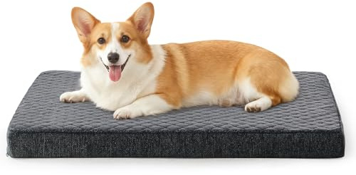 JOEJOY Orthopädisches Hundebett Mittelgroße Hunde, Hundekissen Waschbar Flauschig Hundematte, Hundematratze für Mittelgroße Hunde, rutschfeste Unterseite, 76x46x7.5cm