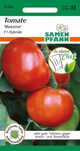 SAMEN PFANN® Tomate, Maestria F1 (Bester Geschmack) - Gemüse-Samen Saatgut Tomaten Samen (Solanum lycopersicum)