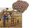 SSCYHT Kletternetz drinnen/draußen, Kletternetz, Kletternetz für Schaukel, Durchmesser 12 mm, Netz 15 cm, Kindersicherheitsnetz,2X3M