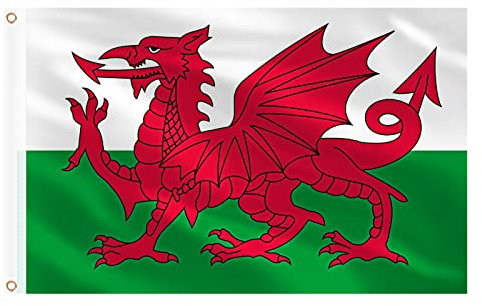 AhfuLife Wales Flagge 150 x 90 cm,2 Stück Große Walisische Nationalflaggen Doppelseitig mit Messingösen für St. David's Day 2024 Euro Song Contest Olympische Party Bar Deko
