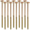 AERZETIX - C67511 - Lot de 10 Vis à bois Ø8x180mm à tête large bombée - à empreinte étoile Т40 - en acier zingué - menuiserie, contreplaqués, agglomérés, mélaminés