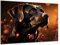 Munera Design - Bild 56x84 - Labrador Retriever Hund in Natur - Wand-Bilder Wohnzimmer