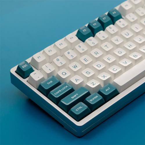 DucKey Vintage 2-farbiges PBT Tastenkappen Set, 140+ Tasten/SA-Profil/Doubleshot Keycaps für Mechanische Tastatur(Green and White)